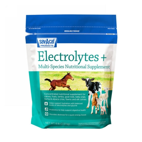 Electrolytes + 6 Lbs by Sav-A-Caf peta2z