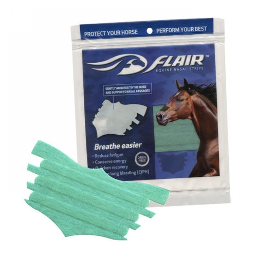 Flair Equine Nasal Strips Turquoise 1 Each by Flair peta2z