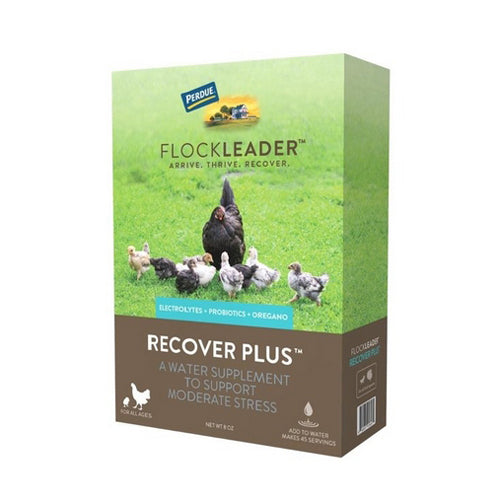 FlockLeader RECOVER PLUS Poultry Supplement 8 Oz by Flockleader peta2z