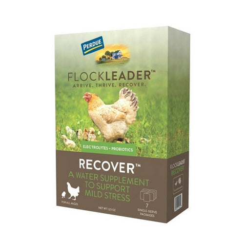 FlockLeader RECOVER Poultry Supplement 1.23 Oz by Flockleader peta2z