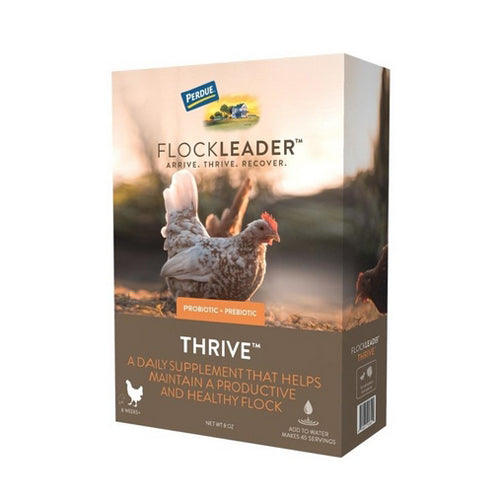 FlockLeader THRIVE Poultry Supplement 8 Oz by Flockleader peta2z