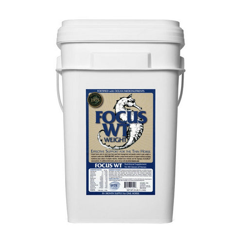 Focus Wt Weight Gain Supplement For Horses 25 Lbs by Source peta2z