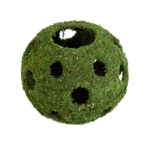 Galapagos Mossy Cave Terrarium Hideaway Fresh Green, 1 Each/12 in by Galapagos peta2z