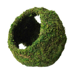 Galapagos Mossy Cave Terrarium Hideaway Fresh Green, 1 Each/8 in by Galapagos peta2z