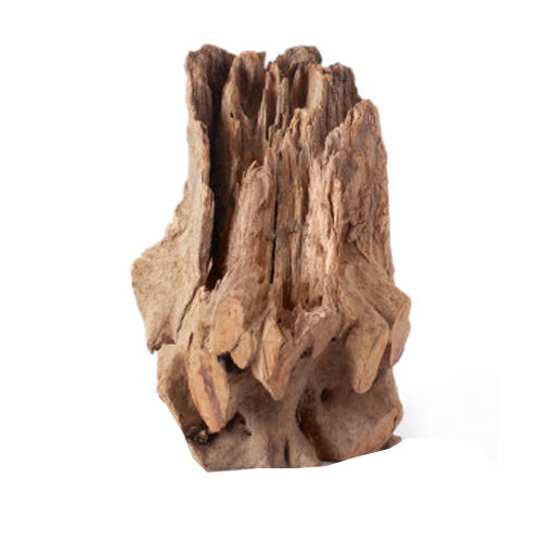 Galapagos Natural Eucalyptus Hollow Log Hide 1 Each/6-8 in by Galapagos peta2z