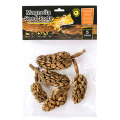 Galapagos Natural Magnolia Seed Pods 1 Each/5 Pack by Galapagos peta2z