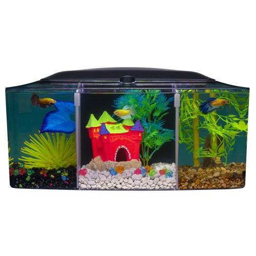 GloFish Betta Trilogy Aquarium 1ea/3 Gallon by GloFish