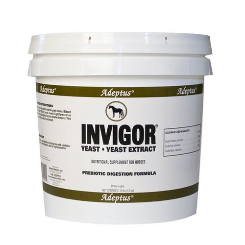 Invigor Yeast And Yeast Extract Prebiotic Digestion Formula For Horses 10 Lbs by Adeptus peta2z