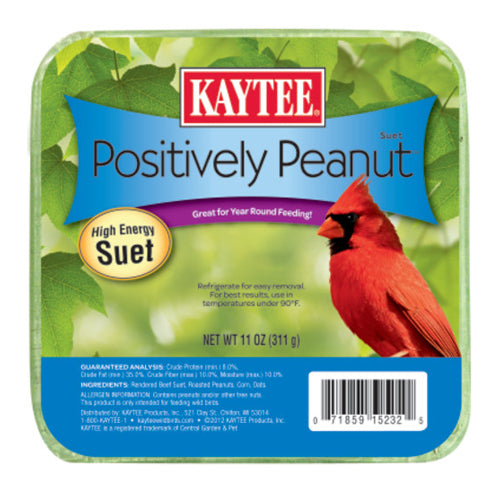 Kaytee Positively Peanut High Energy Mini Suet 1 Each/11 Oz by Kaytee peta2z