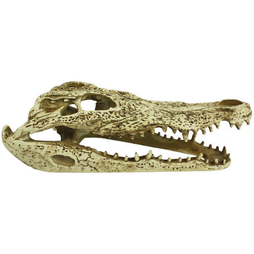 Komodo Alligator Skull Hideout 1 Each/9 in by Komodo peta2z