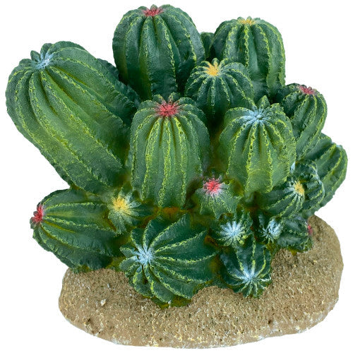 Komodo Cactus Plant Barrel 1 Each/4 in by Komodo peta2z