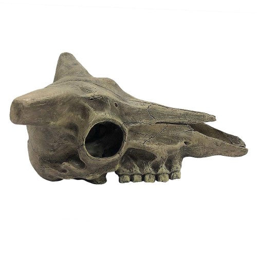 Komodo Deer Skull Reptile Hideout Gray, 1 Each/One Size by Komodo peta2z