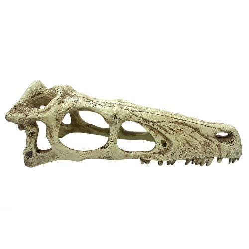 Komodo Raptor Skull Reptile Hideout Tan, 1 Each/XL by Komodo peta2z