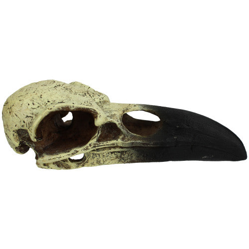 Komodo Raven Skull Hideout 1 Each/MD, 6 in by Komodo peta2z