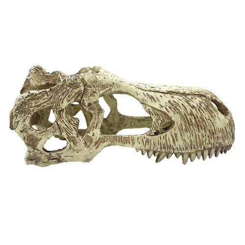 Komodo T-Rex Skull Reptile Hideout Tan, 1 Each/XL by Komodo peta2z