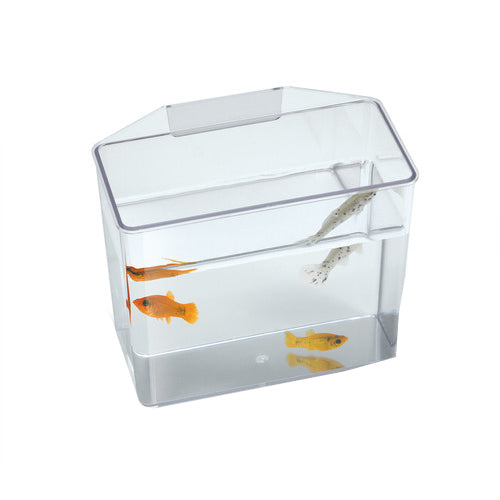 Lee's Aquarium & Pet Products Break Resistant Specimen Container Clear, 1 Each/Small by San Francisco Bay Brand peta2z