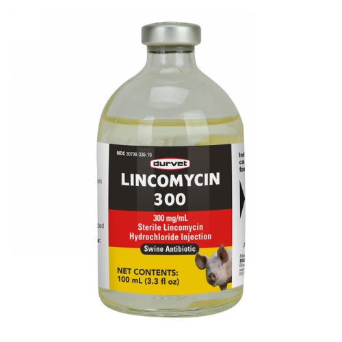 Lincomycin 300 Swine Injectable 100 Ml by Durvet peta2z