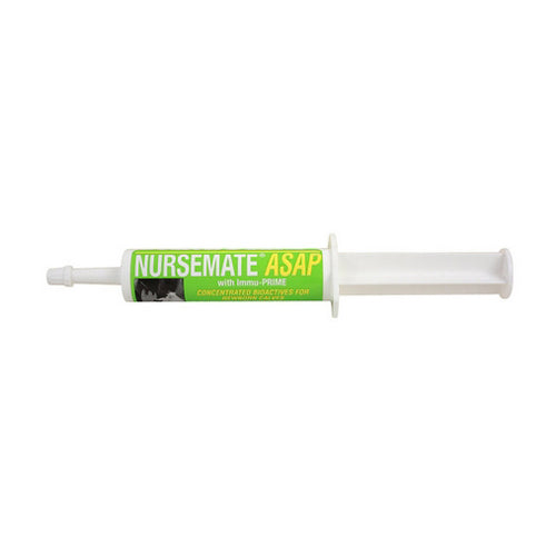 Nursemate Asap With Immu-Prime Colostrum Supplement For Calves 30 Ml by Nursemate peta2z