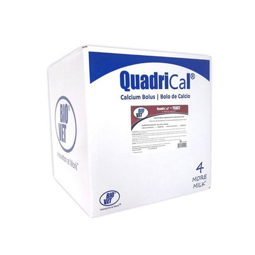 QuadriCal + YEAST Calcium Boluses 50 Count by Bio-Vet peta2z