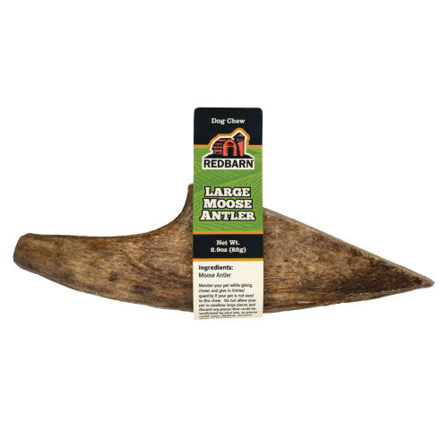 Redbarn Pet Products Moose Antler Dog Chew 1 Each/Large by Redbarn Pet Products peta2z