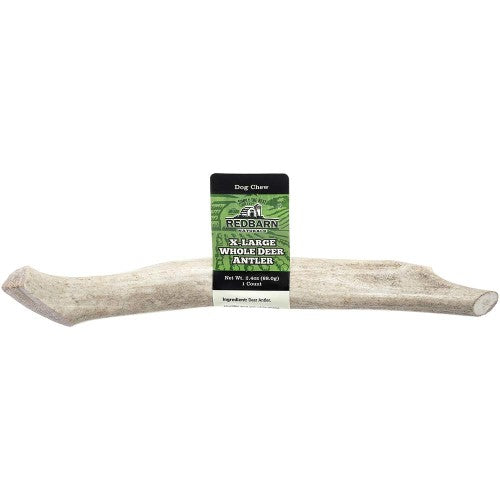 Redbarn Pet Products Natural Deer Antler Dog Treat Whole, 1 Each/XL, 2.4 Oz by Redbarn Pet Products peta2z