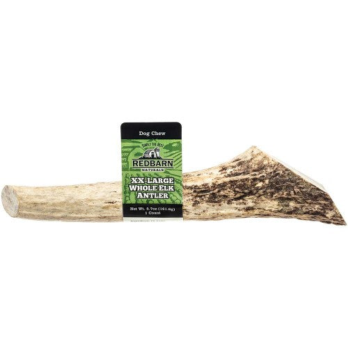 Redbarn Pet Products Natural Elk Antler Dog Treat Whole, 1 Each/XXL, 5.7 Oz by Redbarn Pet Products peta2z