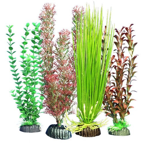 Weco Products Freshwater Aquarium Plant 103 Assorted, 1 Each/Multipack by Weco peta2z