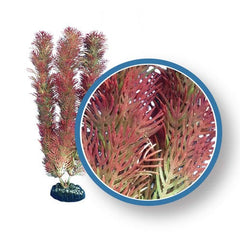 Weco Products Freshwater Pro Series Cabomba Aquarium Plant Red, 1 Each/12 in by Weco peta2z