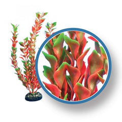 Weco Products Freshwater Pro Series Ludwigia Aquarium Plant Red, 1 Each/24 in by Weco peta2z