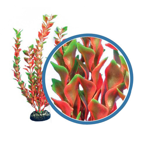 Weco Products Freshwater Pro Series Ludwigia Aquarium Plant Red, 1 Each/6 in by Weco peta2z