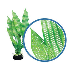 Weco Products Freshwater Pro Series Madagascar Lace Aquarium Plant Green, 1 Each/6 in by Weco peta2z