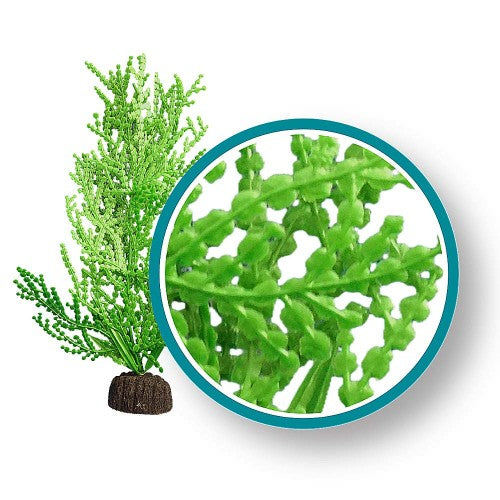 Weco Products Marine Pro Series Giant Halimeda Aquarium Plant Green, 1 Each/12 in by Weco peta2z