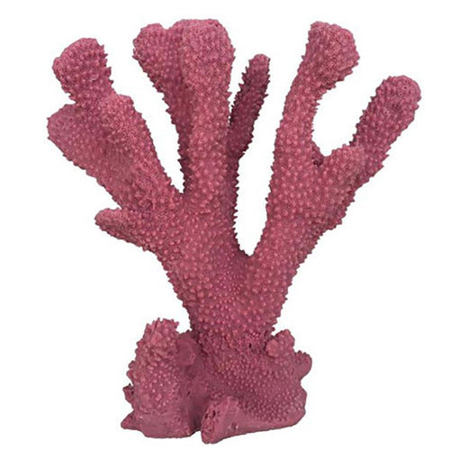 Weco Products South Pacific Coral Cats Paw Ornament Rose, 1 Each/Medium by Weco peta2z