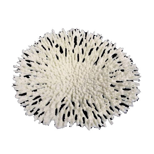 Weco Products South Pacific Coral Round Tabletop Ornament White, 1 Each/Large by Weco peta2z