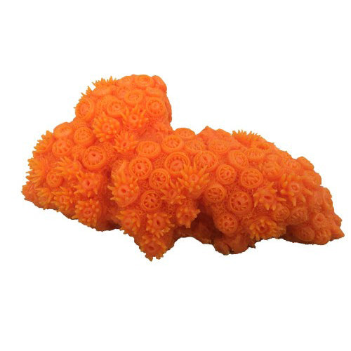 Weco Products South Pacific Coral Tubastrea Ornament Orange, 1 Each/Medium by Weco peta2z