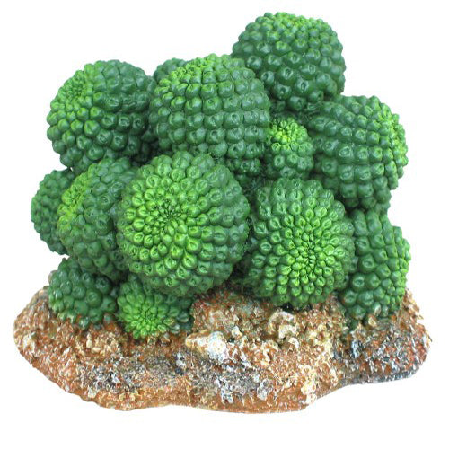 Weco Products Wecorama Badlands Sonoran Cactus Terrarium Ornament Brown, Green, 1 Each/2.92 in by Weco peta2z