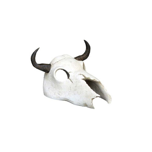 Weco Products Wecorama Catacombs Longhorn Skull Aquarium Ornament Black, White, 1 Each by Weco peta2z