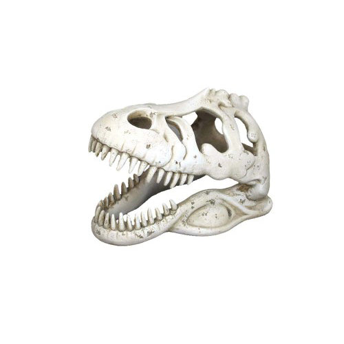 Weco Products Wecorama Catacombs T-REX Skull Aquarium Ornament White, 1 Each by Weco peta2z