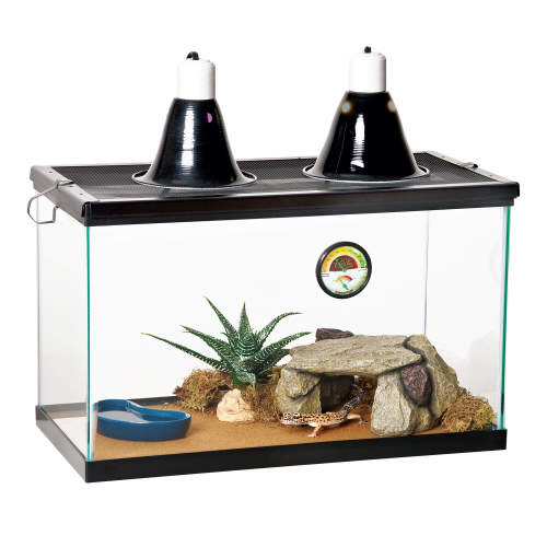 Zilla Desert Reptile Terrarium Starter Kit 1 Each/10 by Zilla peta2z