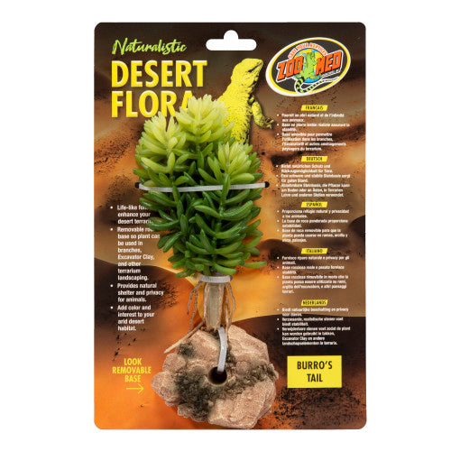 Zoo Med Desert Flora Plant Burro's Tail, 1 Each/One Size by Zoo Med peta2z